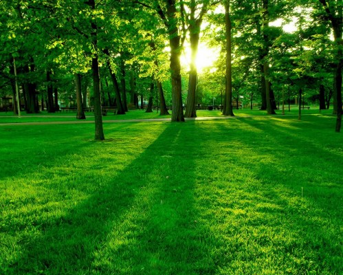 西京医院在陕西实力怎么样