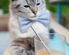 江苏电视台官网