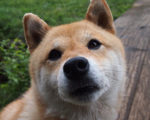 西安孩子舞蹈学校怎么样