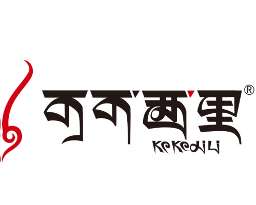 可可西里智能锁