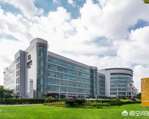 大公司企业与小公司企业的不同之处是什么？