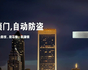 中国王力防盗门有限公司