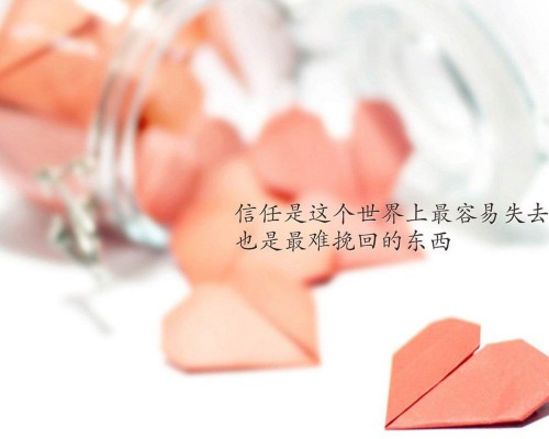 荷兰汉恩大学官网