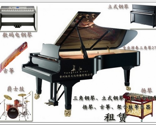 贵州星海琴行乐器有限公司