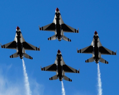 Alltelleringet官网