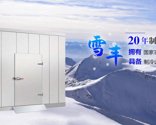 陕西雪丰环境科技有限公司