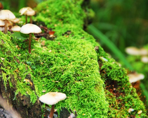 西安 实业 公司怎么样（西安 实业 公司怎么样啊）