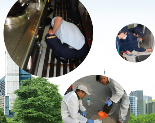 西安除虫公司,西安消杀公司,陕西洁源有害生物防治有限公司