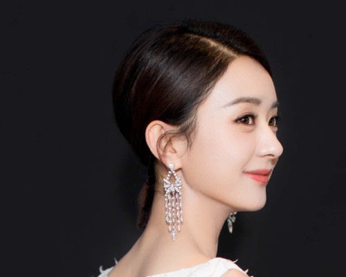 执行企业会计制度的企业和执行企业会计准则的一般企业有什么不？