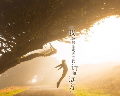 观察家日报官网