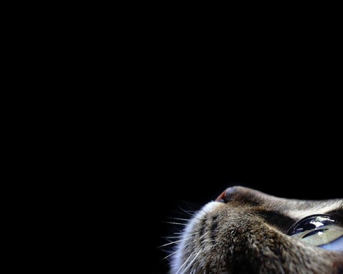 柳州城市职业学院官网