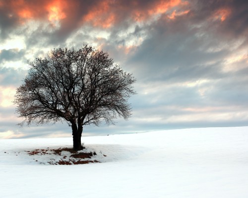 衡水市第五人民医院官网