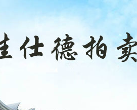 陕西佳仕德拍卖有限公司