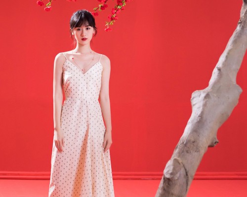 芝加哥论坛报官网