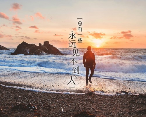 西安柠檬树装修公司怎么样（西安柠檬树装修公司怎么样啊）