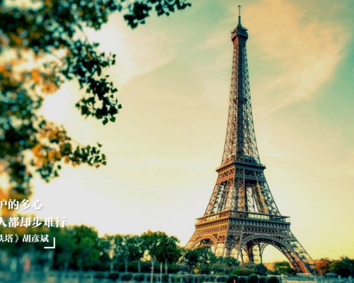 WHO世界卫生组织官网