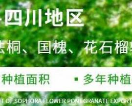 四川大邦绿地园林工程有限公司