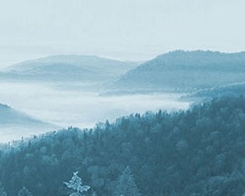 山东往升文化传播有限公司