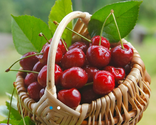 杨凌秦樱果业有限责任公司