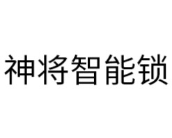 神将智能锁