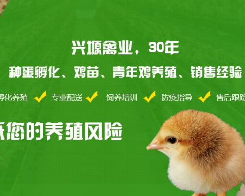 渭南市兴塬禽业公司