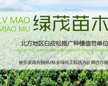 西安绿茂苗木有限公司