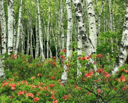 西安亿帮科技有限公司怎么样（西安亿帮科技有限公司怎么样啊）