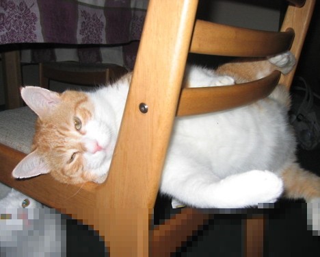 布拉格犹太博物馆官网