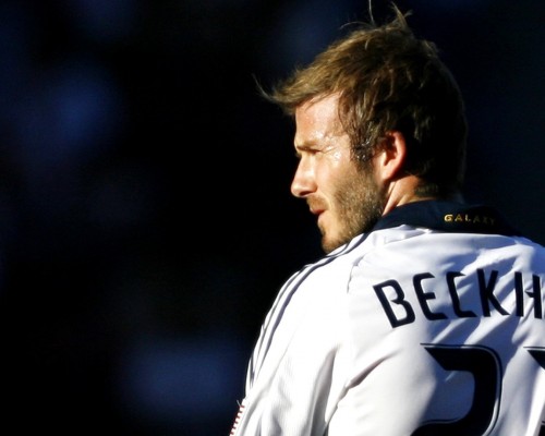 Alice + Olivia官网