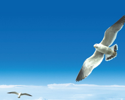 陕西鑫美华智能门业有限公司