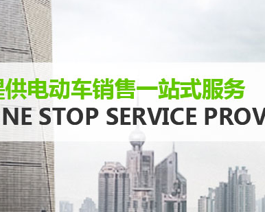 西安太华电动自行车批发市场有限公司