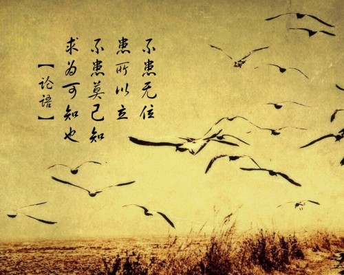 清华阳光太阳能官网