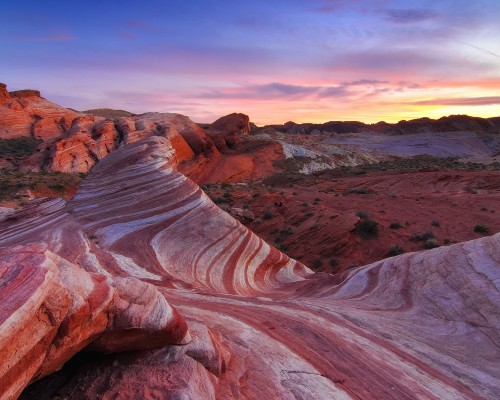 西安面皮现在怎么样了（西安面皮是什么做的）
