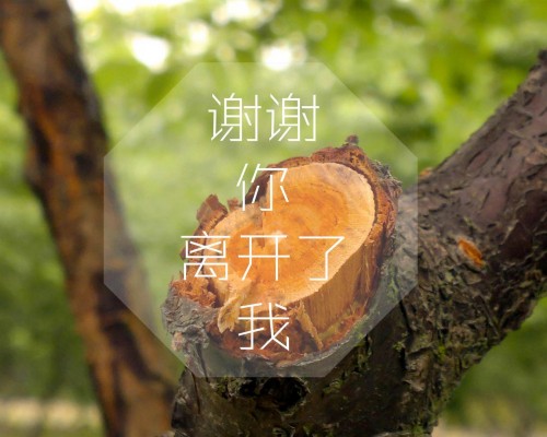 香港公司取名有什么限制吗？