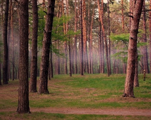 武汉中航锂电怎么样（武汉中航锂电怎么样好不好干）