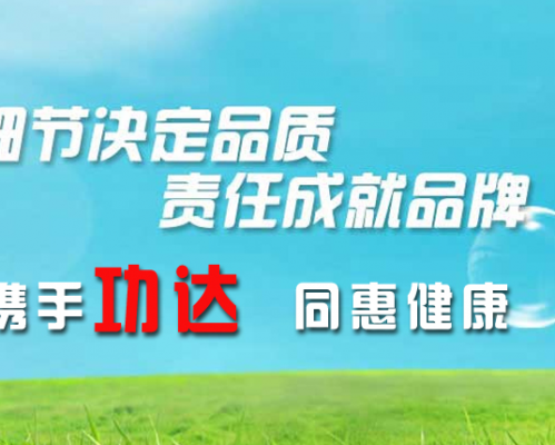 陕西功达制药有限公司