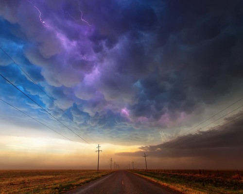  驰名商标网 | 驰名商标查询网：全面解析驰名商标的定义、申请、评定及查询