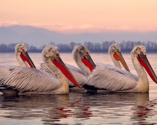 陕西省韩城水灾怎么样（陕西省韩城水灾怎么样最新消息）