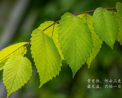 黑河市第一人民医院官网