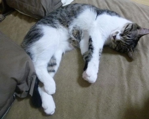 南通航运职业技术学院官网