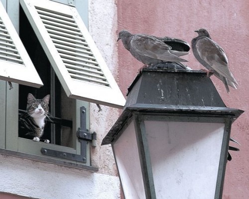 摩尔洗衣机官网