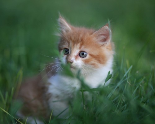 西安九硕物联技术有限公司第1张图