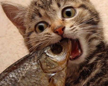 西安市北方医院官网