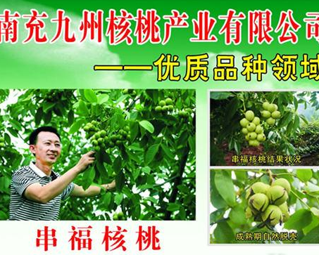 南充九州核桃产业开发有限公司