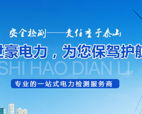 西安世豪电力科技有限公司