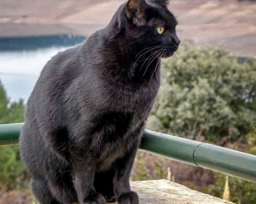 La Gaceta de Guinea Ecuatorial官网