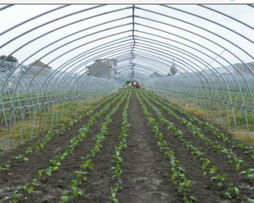 宝鸡新思维农业设备制造有限公司