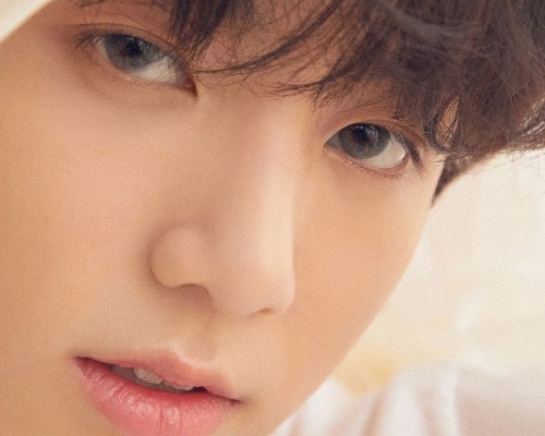  东莞注册商标价格及东莞注册商标价格查询：详细解读