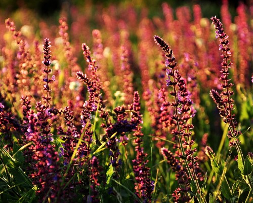 陕西新古柏橡塑材料有限公司第1张图