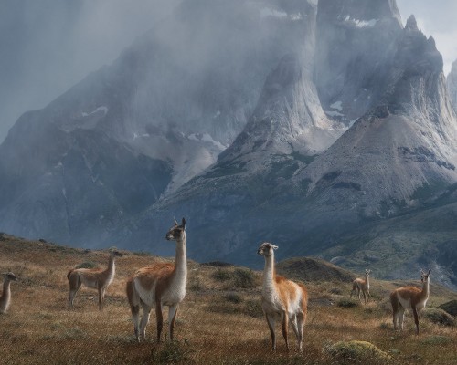蒙特雷足球俱乐部官网